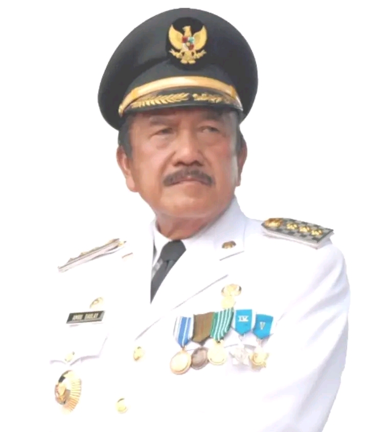 Mantan Bupati Madina Amru Helmi Daulay Wafat