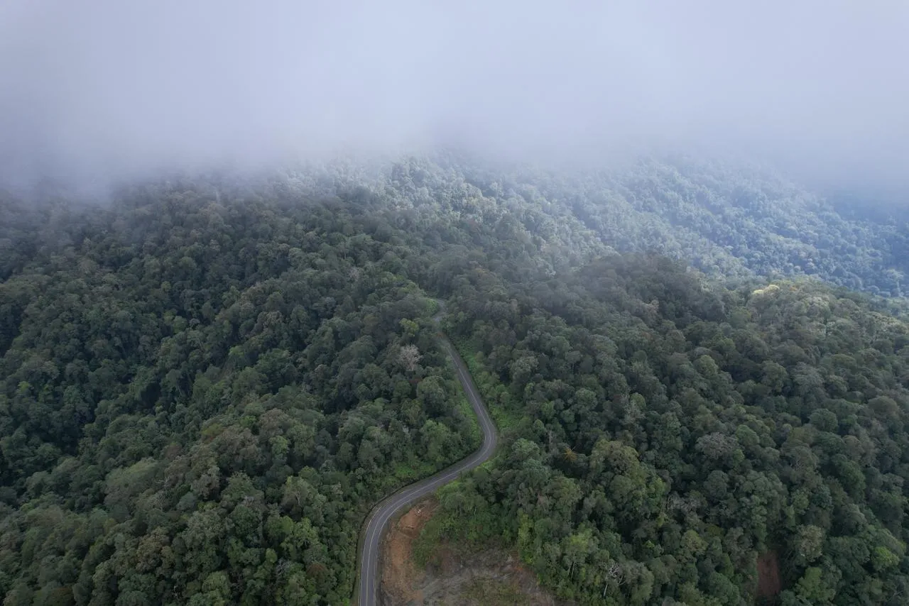 Tolak Tambang Emas, Masyarakat Surati Presiden, Yayasan Apel Green Aceh Kawal Hingga Tuntas