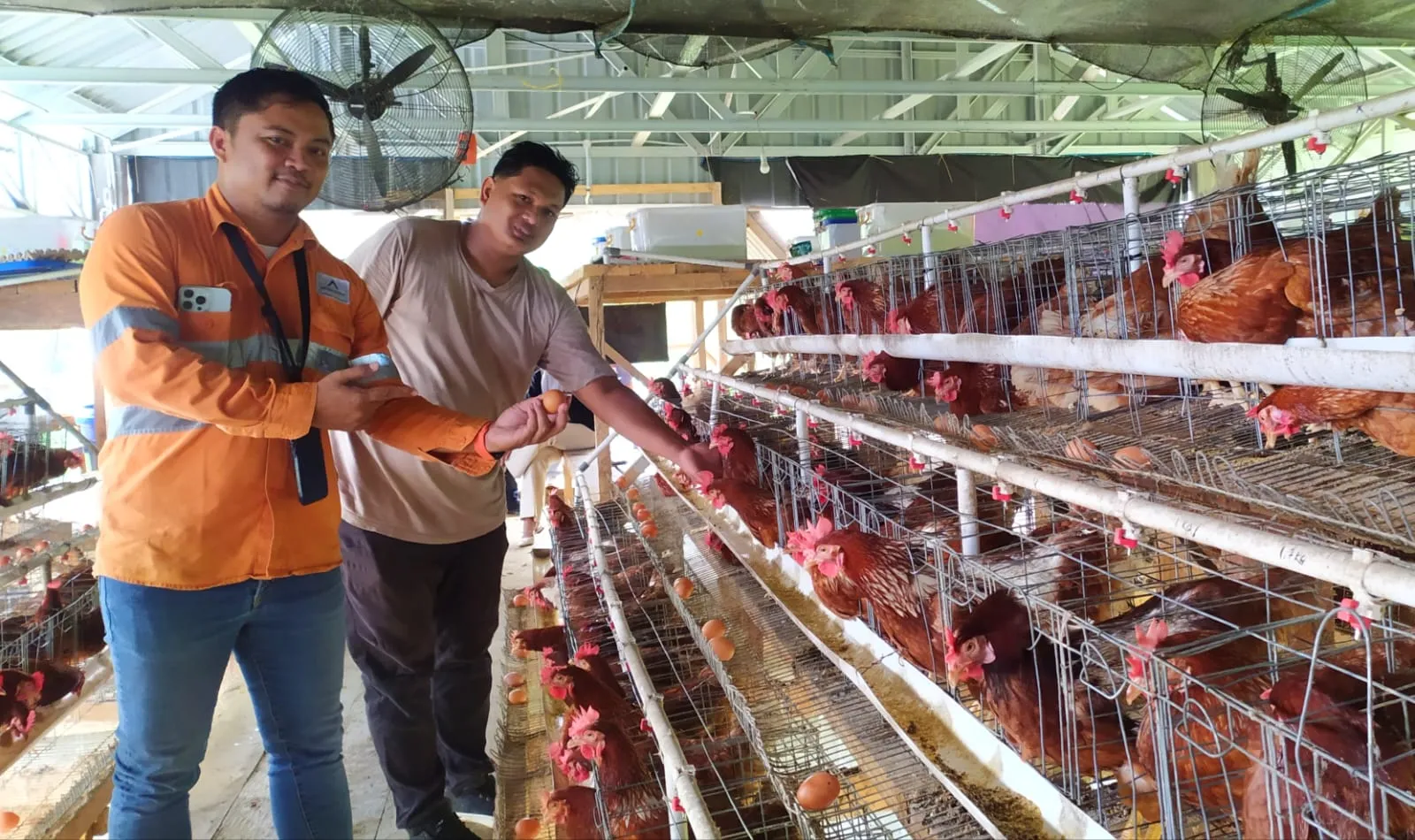 PT AR Dorong Batang Toru Jadi Pusat Ternak Kambing dan Telur Ayam di Tapsel