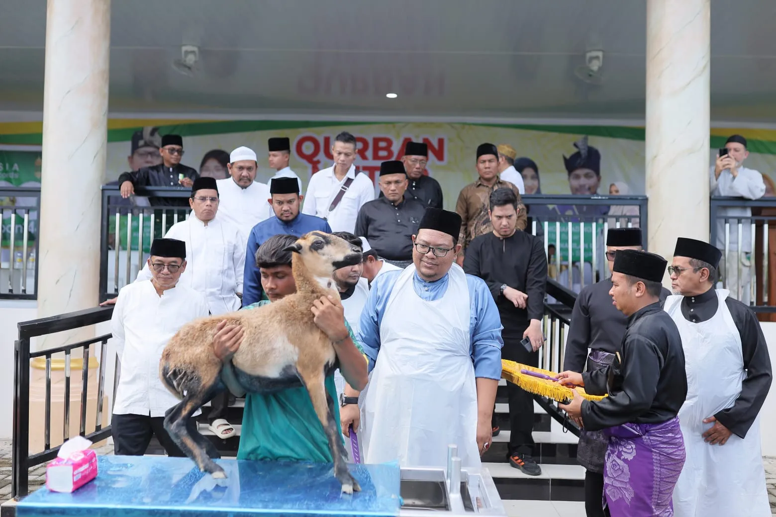 1.900 Ekor Domba Kurban Di Hamparan Perak Raih Rekor Asean