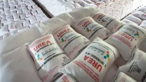 Pupuk Indonesia Kirim 47.250 Ton Urea ke Australia, Perkuat Ketahanan Pangan Indo-Pasifik