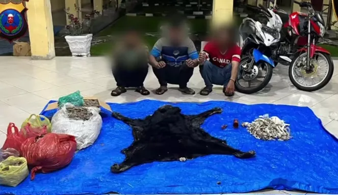 Polres Simalungun Bongkar Perdagangan Satwa Dilindungi, Tiga Pelaku Diamankan