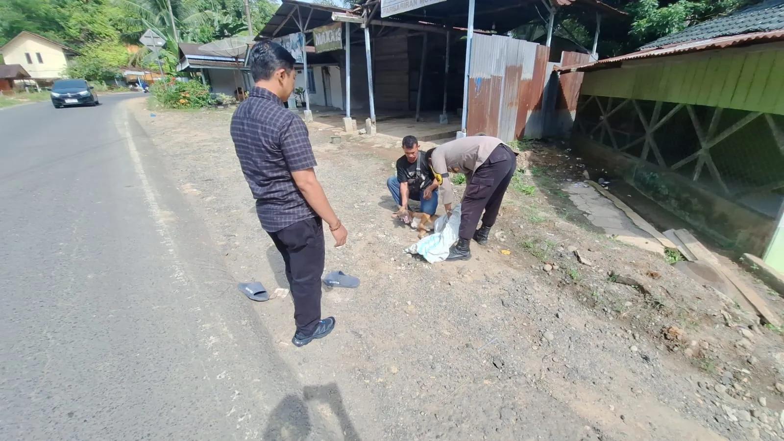 Teror Anjing Gila Di Batangtoru Sukses Dilumpuhkan