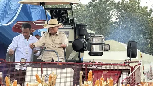 Prabowo Pimpin Panen Raya TNI Di 43 Lokasi, Perkuat Ketahanan Pangan Nasional