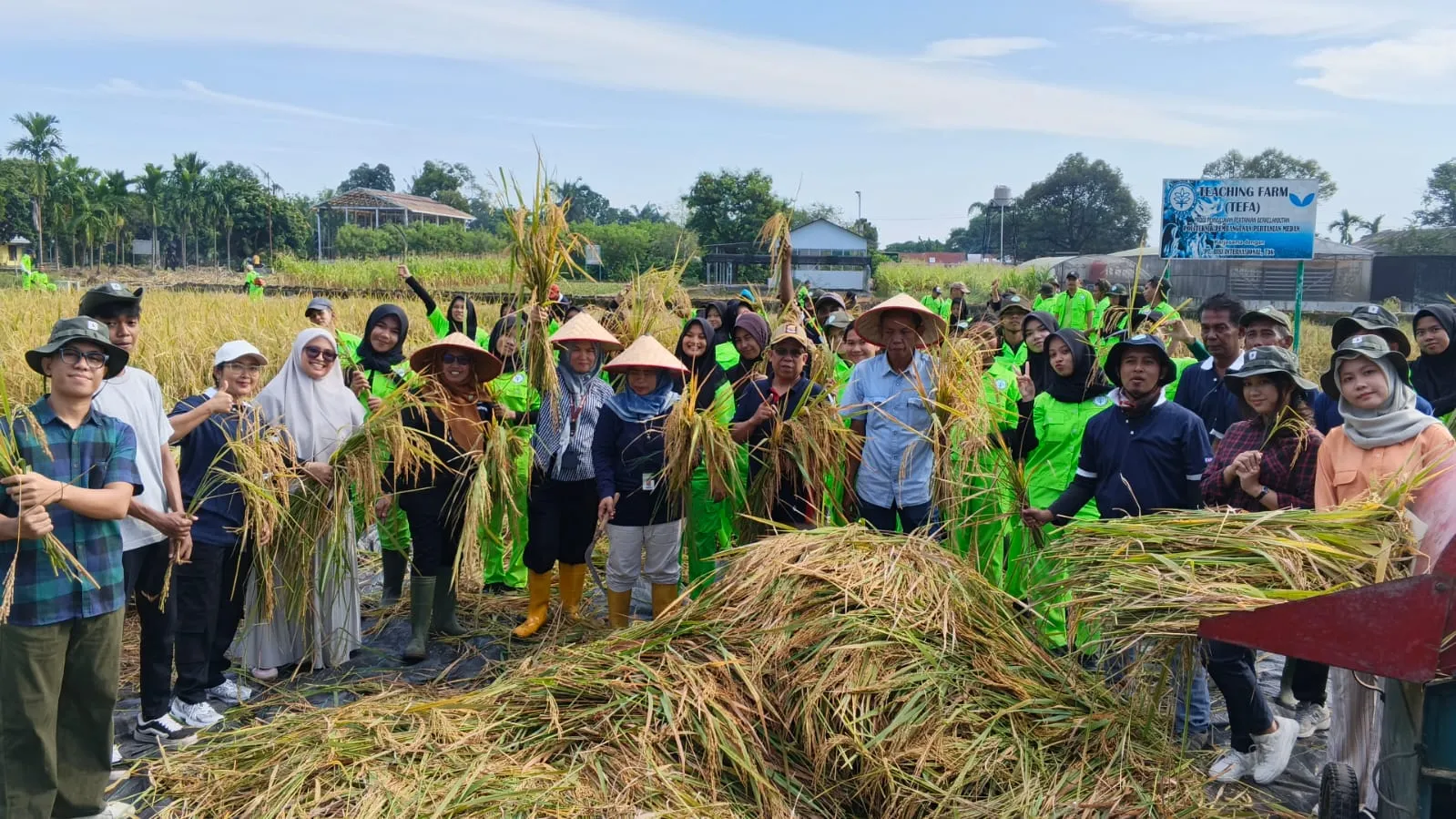 Polbangtan Kementan Panen Padi Gogo Kedua Di Lahan TeFa, Wujudkan Kampus Mandiri Pangan