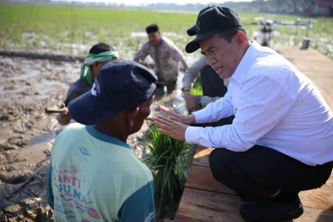 Pemerintah Aceh Jelaskan Posisi Bantuan Kementan untuk Pemulihan Sawah dan Kebun