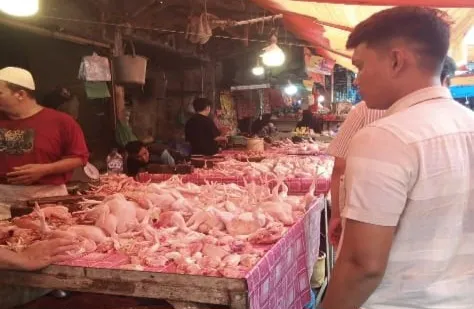 KPPU Kanwil I Awasi Rantai Pasok Ayam Sumut Seiring Kembali Berjalannya Program MBG