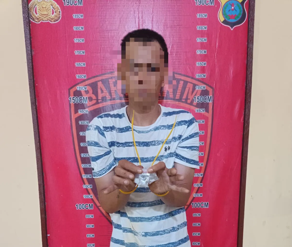 Residivis Sabu Kabur ke Kebun Sawit Dibekuk Tim Ubur-Ubur