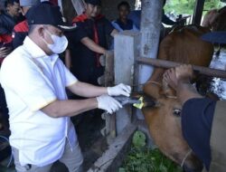 Gebyar Vaksin PMK, Bupati Zahir Minta Jangan Percaya Berita Hoax