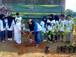 Sepanjang 2022, KSI Sentuh Warga Pesisir Hingga Tanam Mangrove Dan 3500 Pohon Endemik