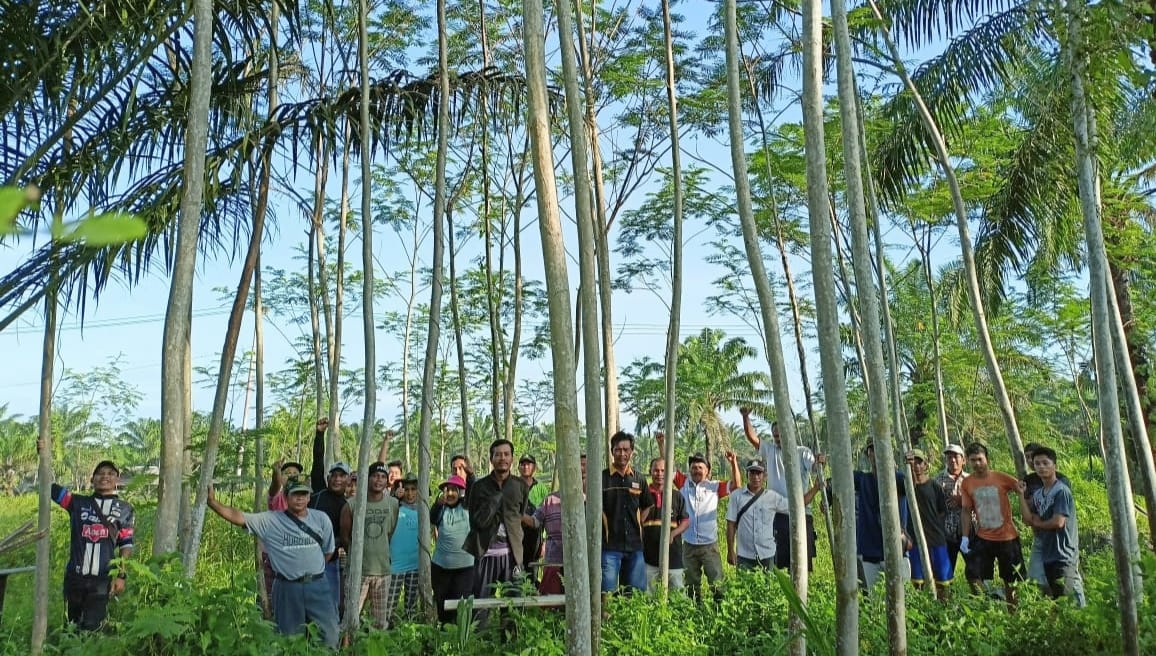 Lokasi Diusahai KTH KPLS Kawasan Hutan Produksi Milik Negara