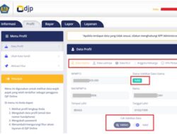 NIK Jadi NPWP : Ayo SegeraMutakhirkan Datamu!
