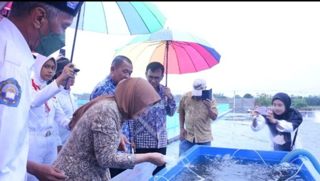 Tambak Udang SMK PK Puger Jember, Contoh Sukses Implementasi TeFa