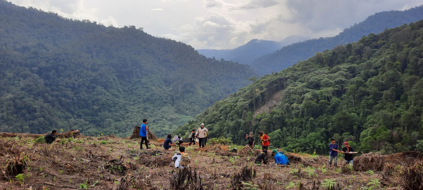 Peduli Bahayanya Deforestasi, LPKEL Dan Mapala-UGL Agara Penghijauan