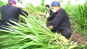 Mengusung Program Creating Share Value: Bio Farma Bina Peternak Milenial