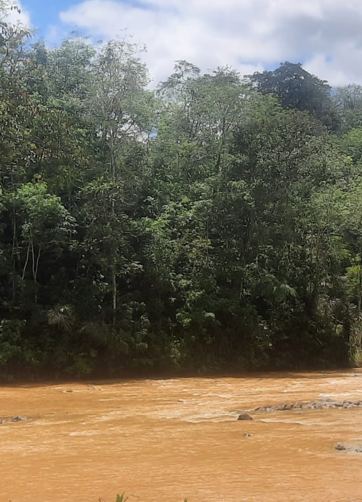 Keberadaan Tambang Emas Di Sungai Batangnatal Harus Ditelusuri