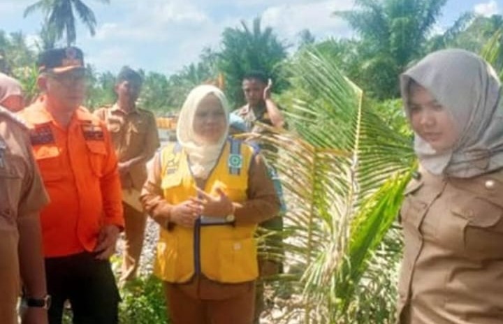 Kadis PUPR Madina Perjuangkan2 Tanggul Raksasa Bermasalah