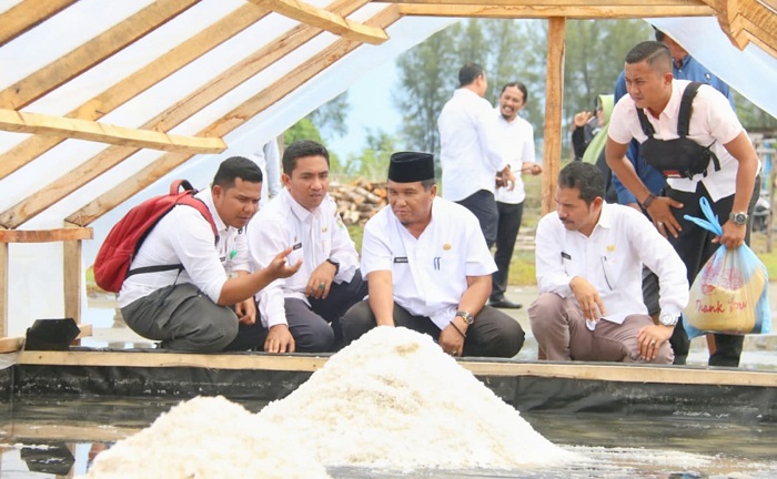 Tingkatkan Ekonomi Masyarakat Pesisir, Pemkab Pidie Kembangkan Garam Geomembran