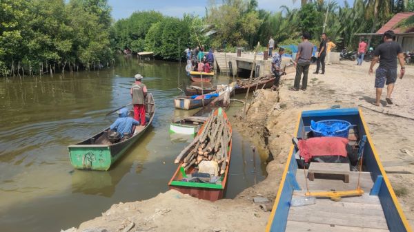 Tampak tiga boat beserta barang bukti kayu bakau hasil pembalakan liar berhasil diamankan oleh warga Simpang Lhee, Lhok Banie dan warga Matang Seulimeng di TPI Gampong Simpang Lhee, Kecamatan Langsa Barat, Sabtu (27/7) siang. Waspada/Rapian