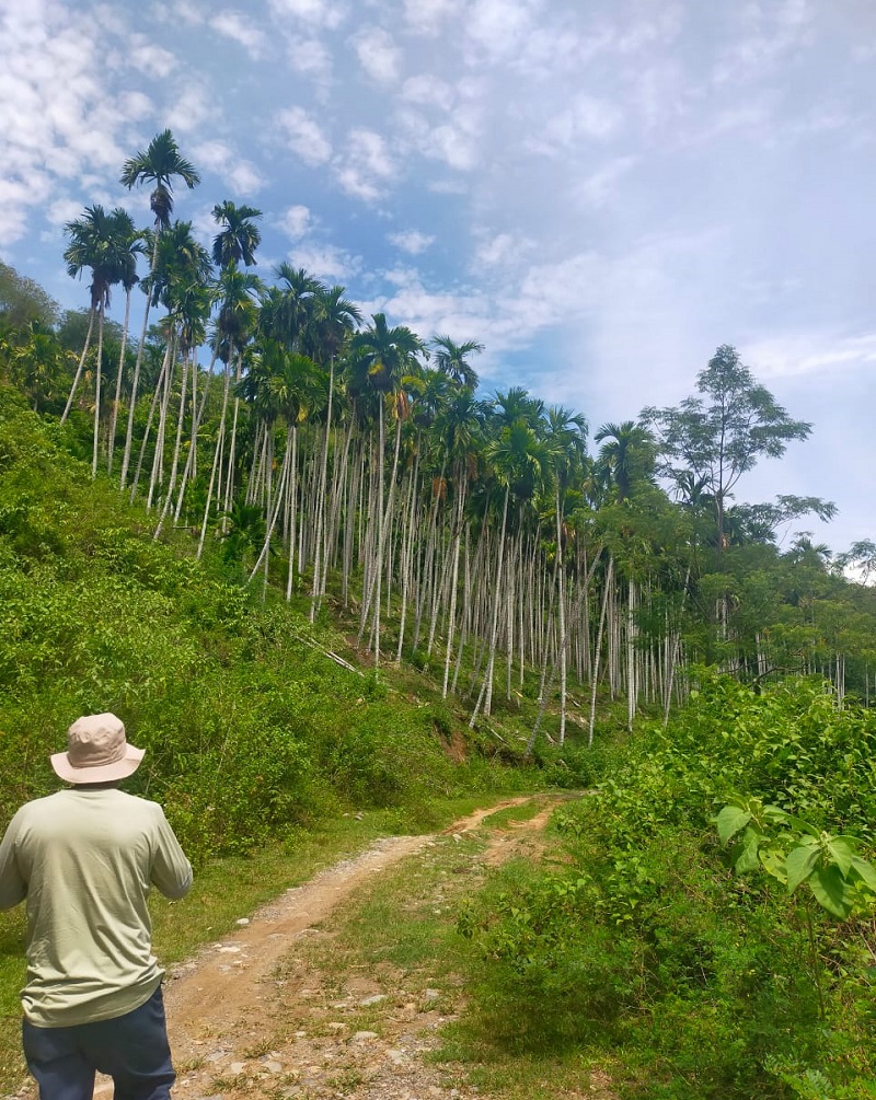 Pertama Di Aceh, Hutan Adat Diakui Negara