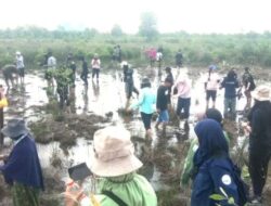 Jaga Ekosistem Pesisir, USU Bersama Komunitas Internasional Tanam Mangrove