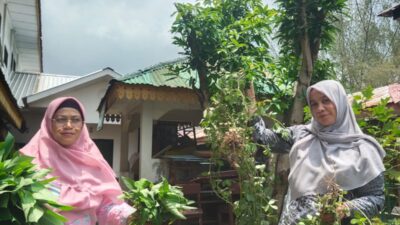 Guru Dan Siswa SD Negeri 060954 Panen Sayur Mayur Di Kebun Sekolah