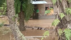 HULU Sungai Besitang meluap, pemukiman warga di Desa Sekoci, Kec. Besitang, terendam banjir. Waspada/Ist