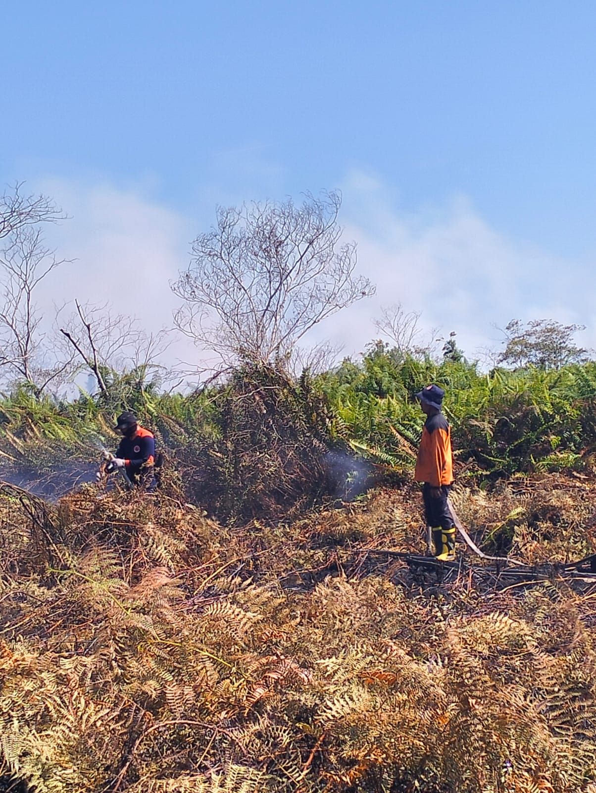 Pemadaman Kebakaran Lahan Di Lapang Baru 50 Persen