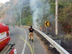 Lahan Ilalang Di Lereng Glee Ludah Terbakar