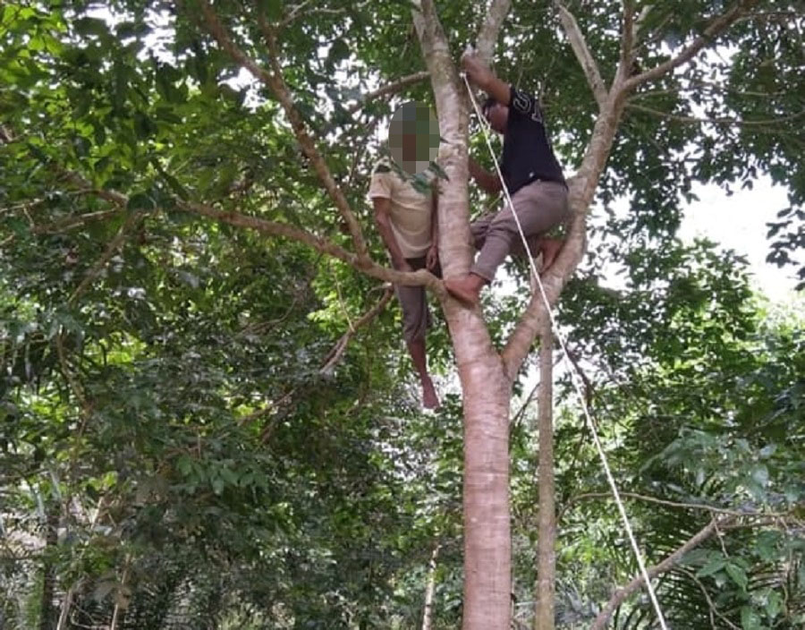 Seorang warga Tapsel ditemukan tewas tergantunt di pohon jengkol. Diduga bunuh diri. (Waspada/Ist)