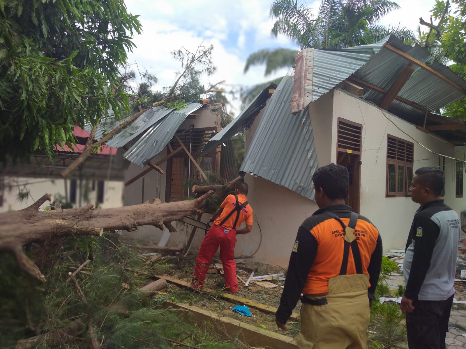 Angin Kencang Landa Aceh Besar, Pohon Tumbang Di Sejumlah Lokasi