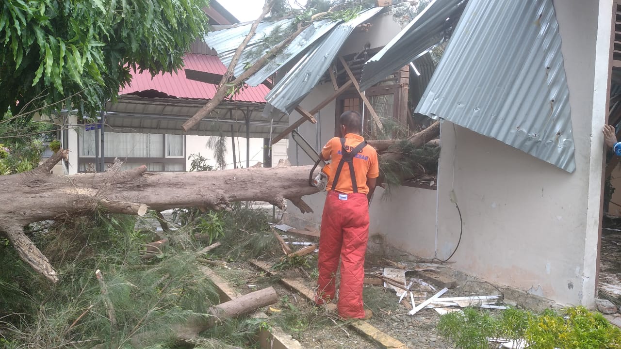 Angin Kencang Landa Aceh Besar, Pohon Tumbang Di Sejumlah Lokasi