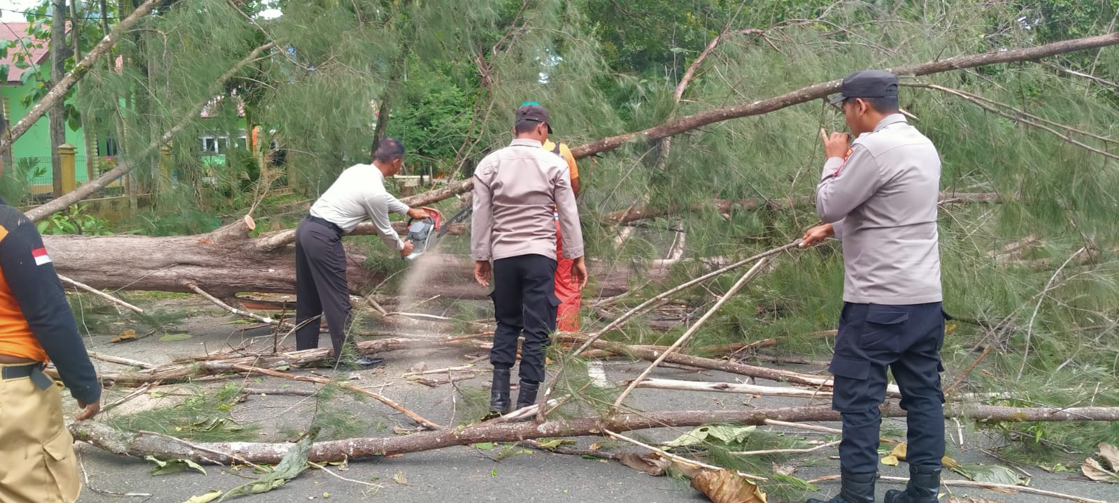 Angin Kencang Landa Aceh Besar, Pohon Tumbang Di Sejumlah Lokasi