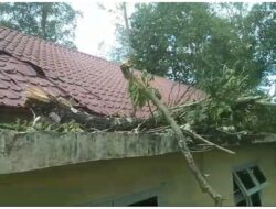 Pohon Tumbang Rusak Kantor PWI Aceh Besar