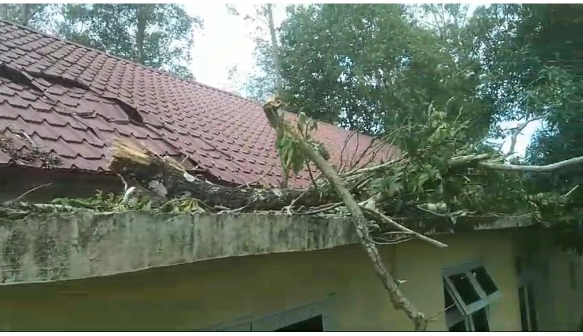 Pohon Tumbang Rusak Kantor PWI Aceh Besar