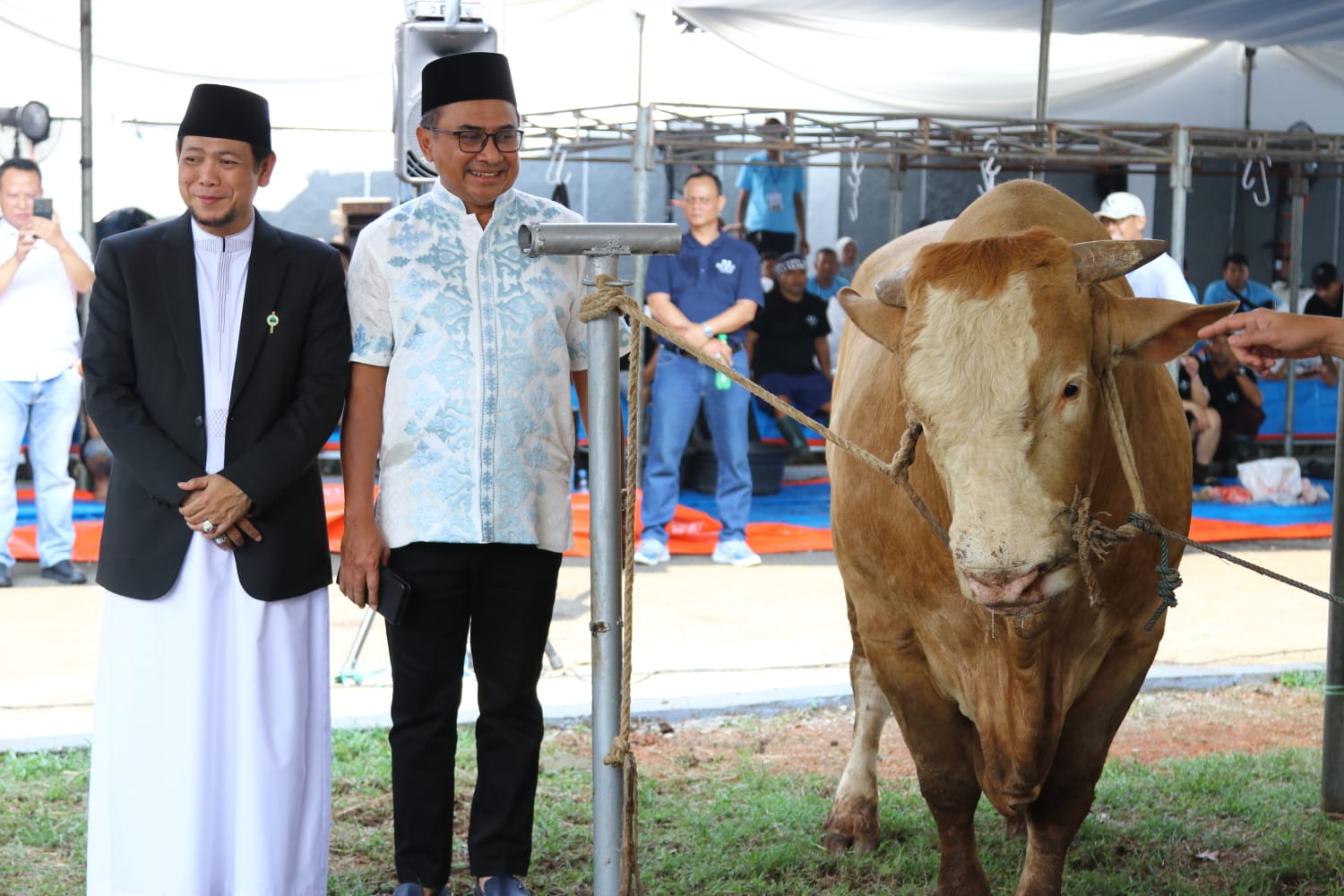 Rayakan Momen Berbagi Di Idul Adha, Bank Mandiri Salurkan Daging Kurban Ke Masyarakat