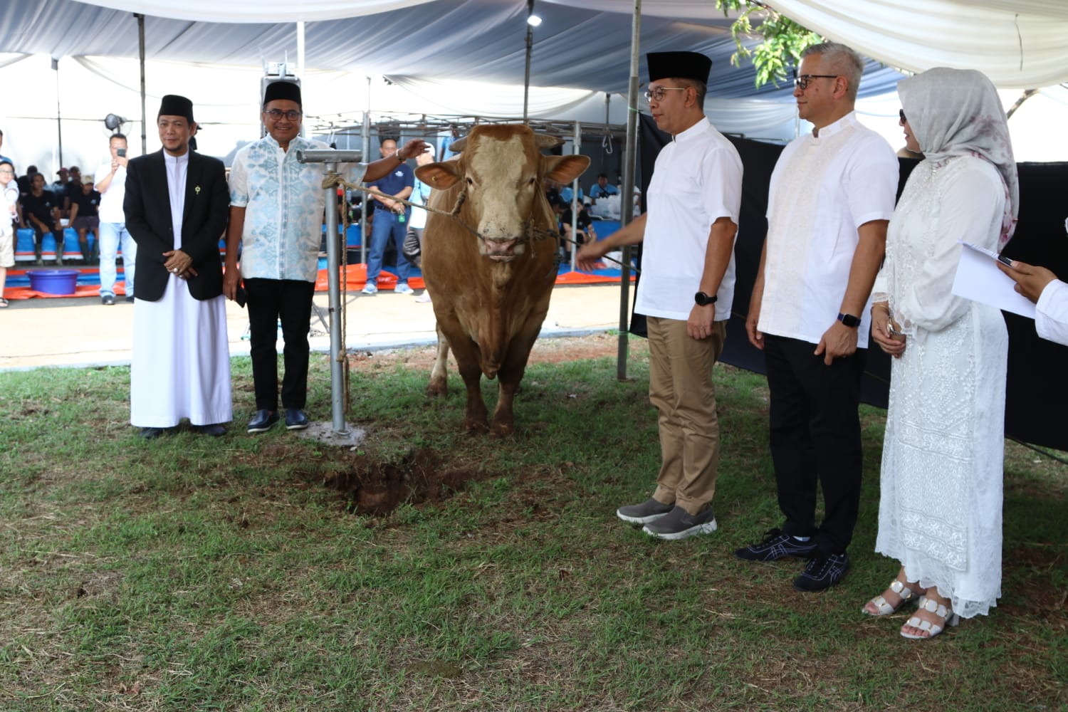 Rayakan Momen Berbagi Di Idul Adha, Bank Mandiri Salurkan Daging Kurban Ke Masyarakat