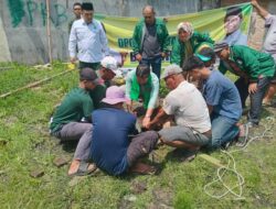 PKB Kota Medan Potong 2 Ekor Lembu Kurban pada Idul Adha 1445 H