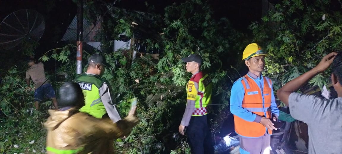 Dua Rumah Warga Aceh Utara Rusak Parah Tertimpa Pohon