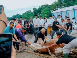 Di Medan, 9.716 Ekor Hewan Kurban Disembelih, Pemko Medan 212 Ekor