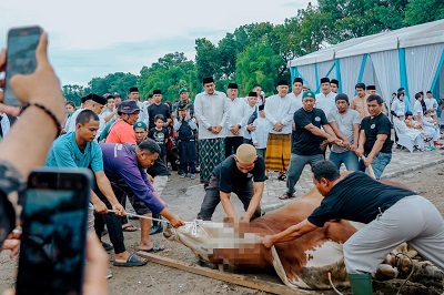 PEMKO Medan menyembelih sebanyak 212 ekor hewan kurban yang merupakan kurban dari Aparatur Sipil Negara (ASN) di lingkungan Pemko Medan, termasuk Wali Kota Medan Bobby Nasution beserta keluarga. Waspada/ist