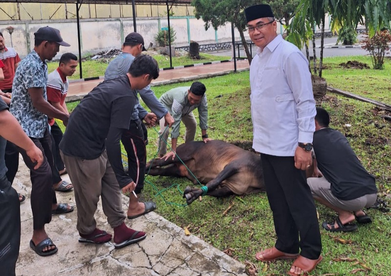 Rayakan Idul Adha 1445 HUPT Asrama Haji Medan Sembelih 6 Ekor Lembu