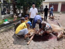 Rayakan Idul Adha 1445 H PWI Sumut Sembelih 5 Ekor Sapi Dan 3 Ekor Kambing