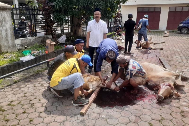 Rayakan Idul Adha 1445 H PWI Sumut Sembelih 5 Ekor Sapi Dan 3 Ekor Kambing