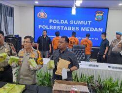 Ciduk 3 Bandar Narkoba,  Polrestabes Medan Sita 11 Kg Sabu