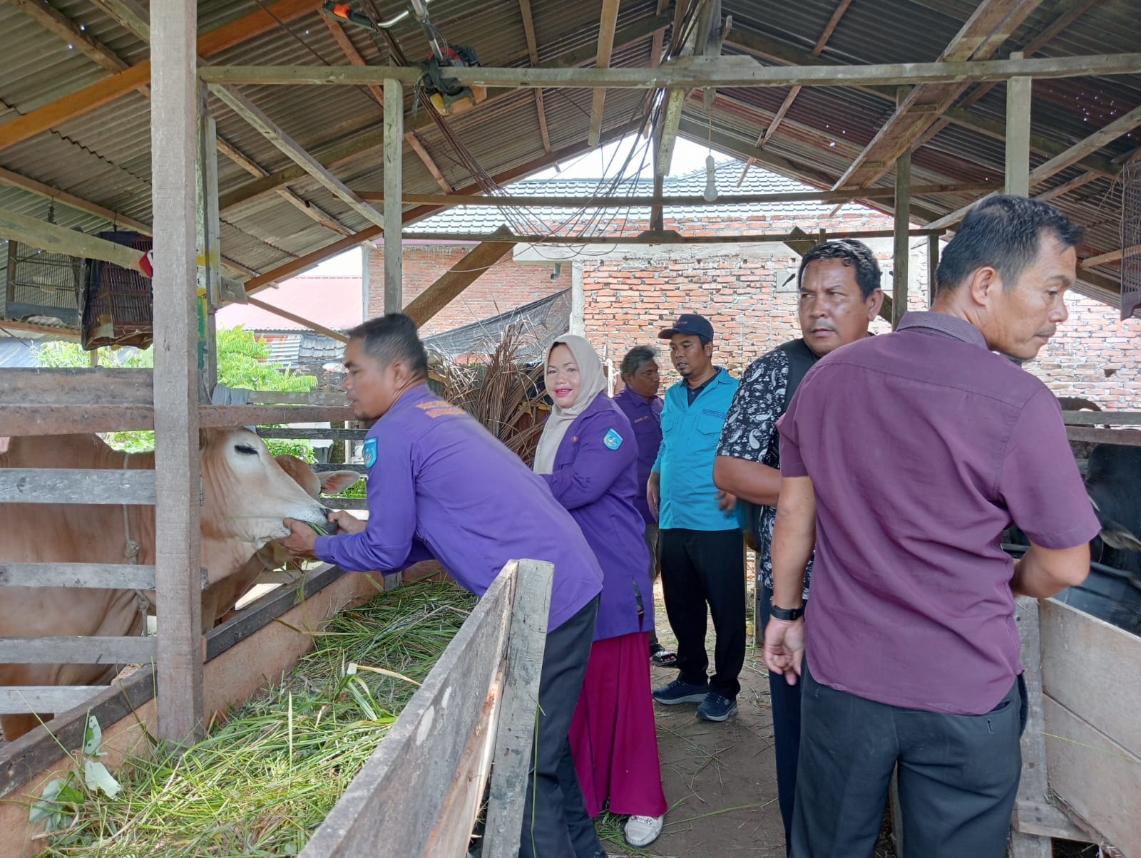 Ratusan Hewan Qurban Diperiksa Kesehatan