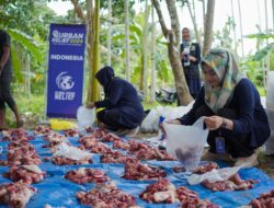 GER Sembelih Hewan Kurban Untuk 1.464 Keluarga Di Aceh