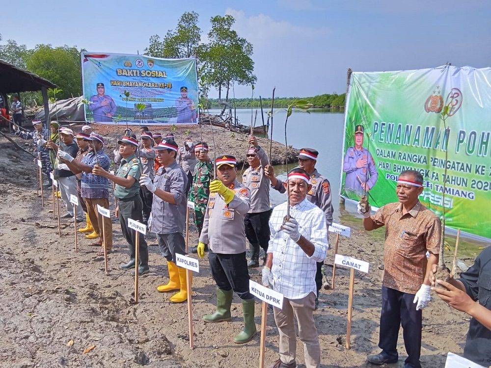 Kapolres Aceh Tamiang AKBP Muhammad Yanis, bersama unsur pemerintahan dan elemen masyarakat saat melakukan penanaman pohon mangrove di Kampung Lubuk Damar, Kecamatan Seruway, Aceh Tamiang, Kamis (27/6). (Waspada/Yusri).