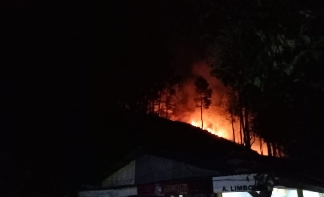 SUASANA Karhutla di Samosir. Waspada/Ist.