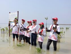 Honda Tanam Ribuan Pohon Mangrove